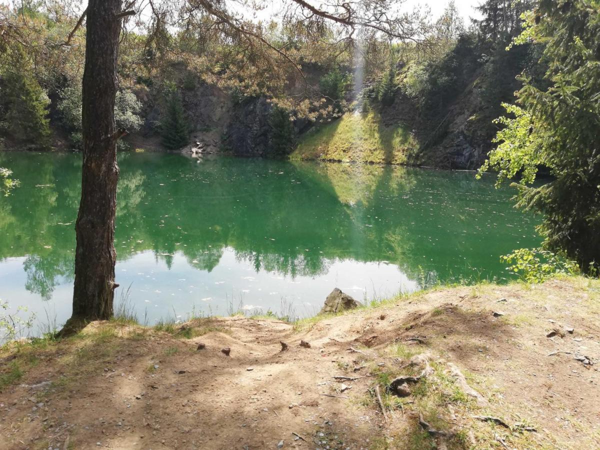 Ferienwohnung Bergwiese Schwarzenbach am Wald Kültér fotó