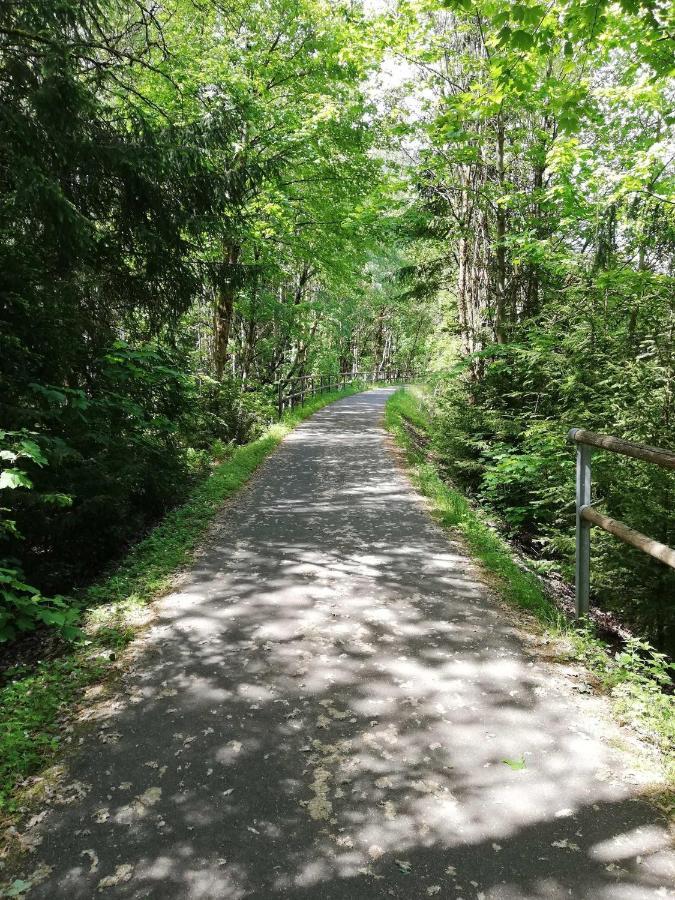 Ferienwohnung Bergwiese Schwarzenbach am Wald Kültér fotó